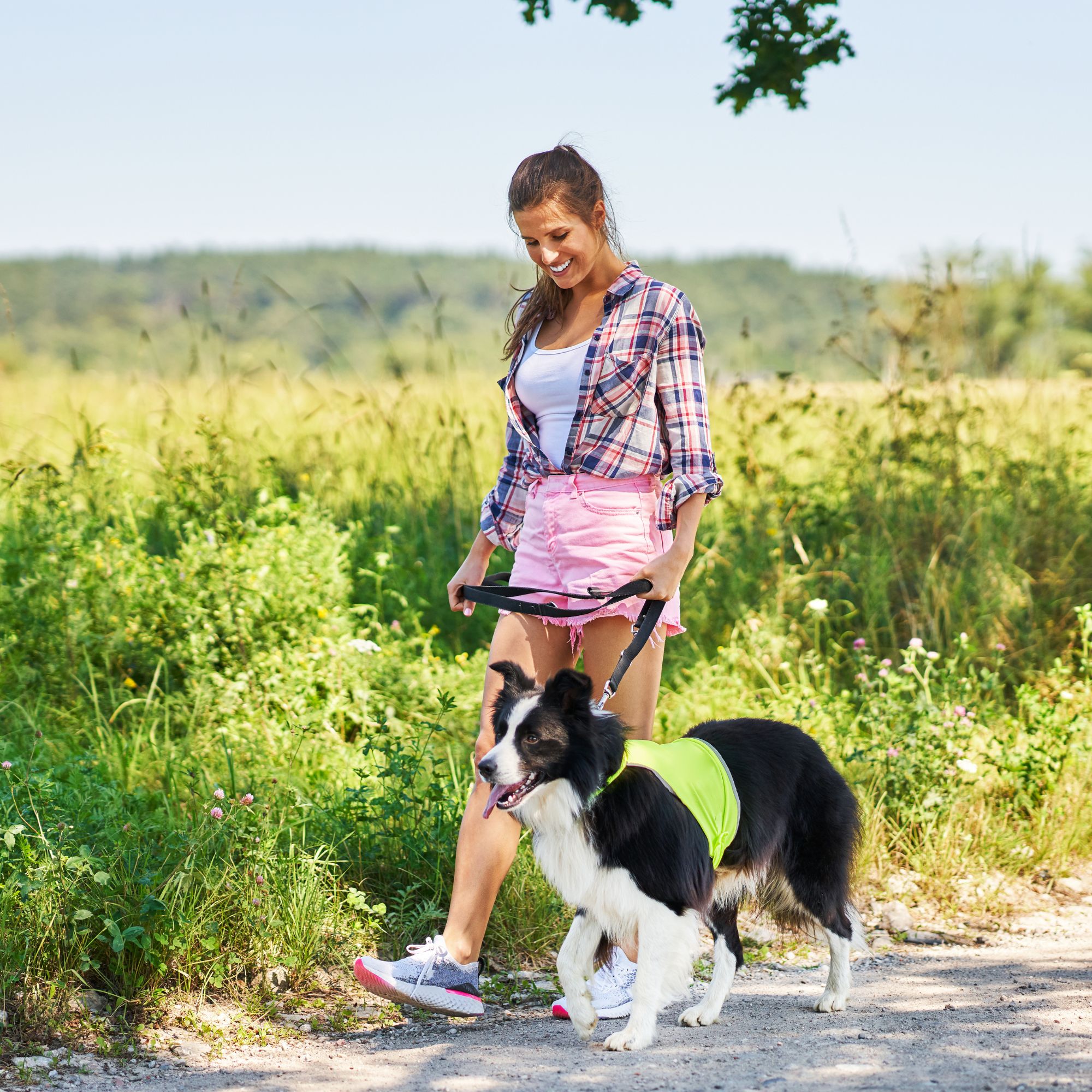 Wildlife & Birding: Nature’s Delights Around Lagoons